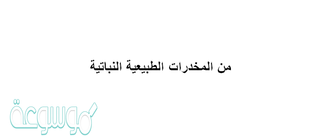 من المخدرات الطبيعية النباتية