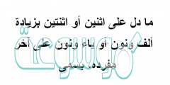 ما دل على اثنين أو اثنتين بزيادة ألف ونون أو ياء ونون على آخر مفرده، يسمى