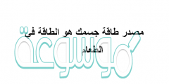 مصدر طاقة جسمك هو الطاقة في الطعام