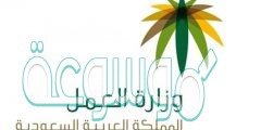 وزارة العمل الخدمات الإلكترونية الاستعلام عن موظف وافد رابط
