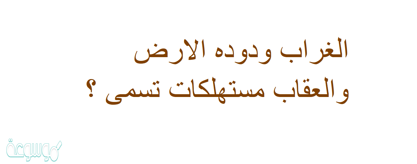 الغراب ودوده الارض والعقاب مستهلكات تسمى ؟