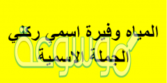 المياه وفيره اسمي ركني الجمله الاسميه