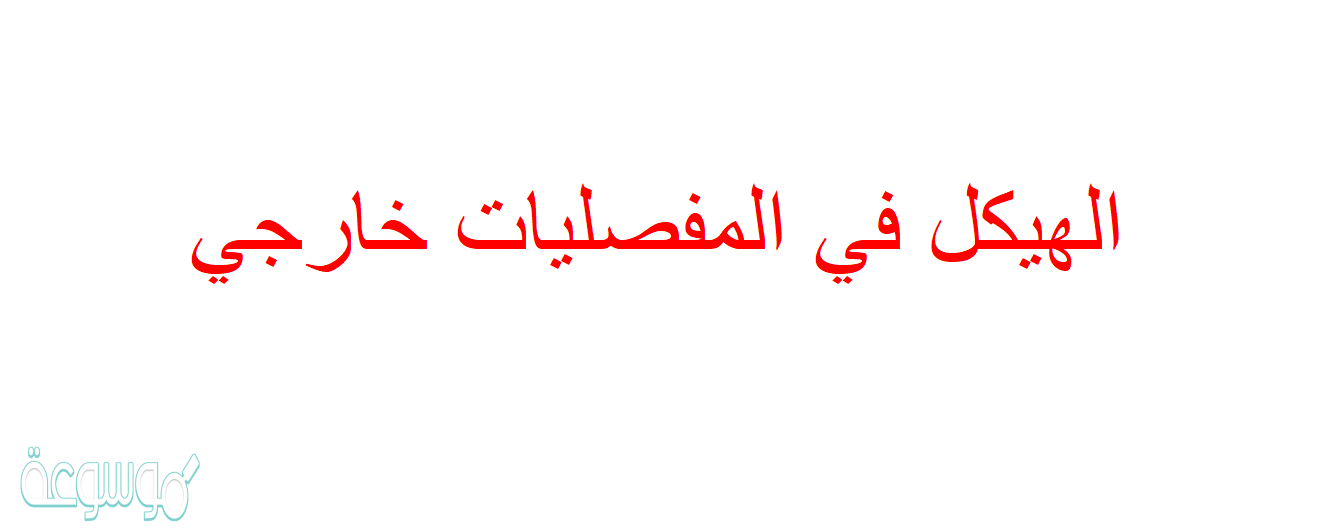 الهيكل في المفصليات خارجي