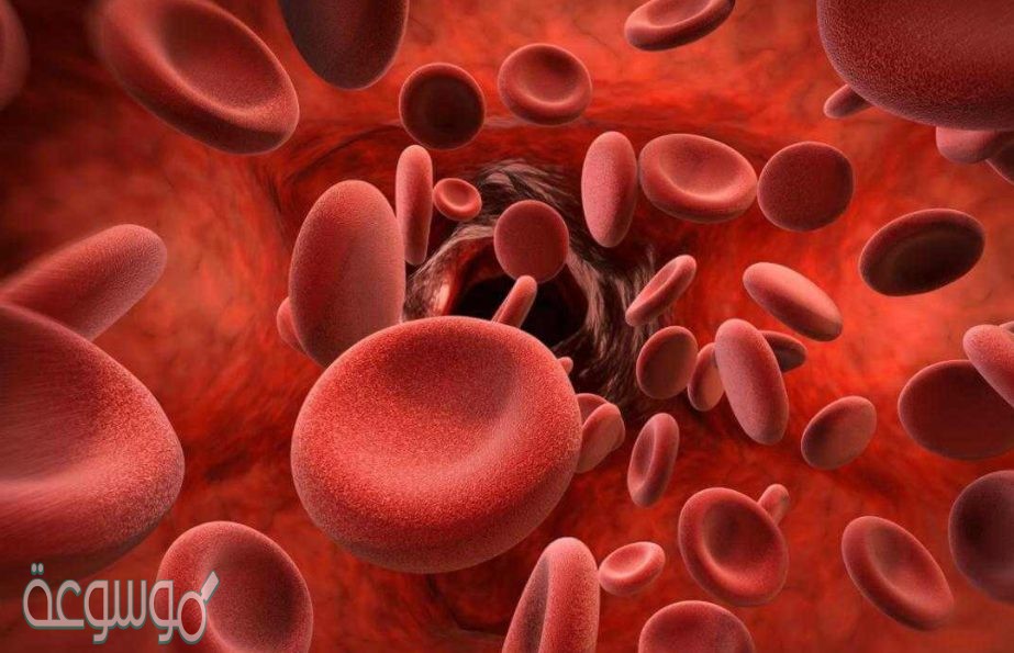 اي الخلايا تهاجم مسببات المرض