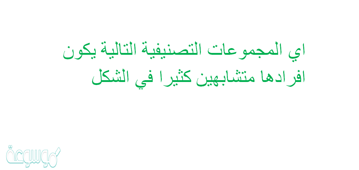 اي المجموعات التصنيفية التالية يكون افرادها متشابهين كثيرا في الشكل