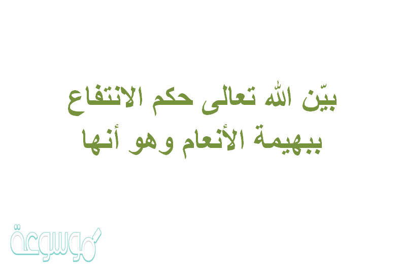 بيّن الله تعالى حكم الانتفاع ببهيمة الأنعام وهو أنها
