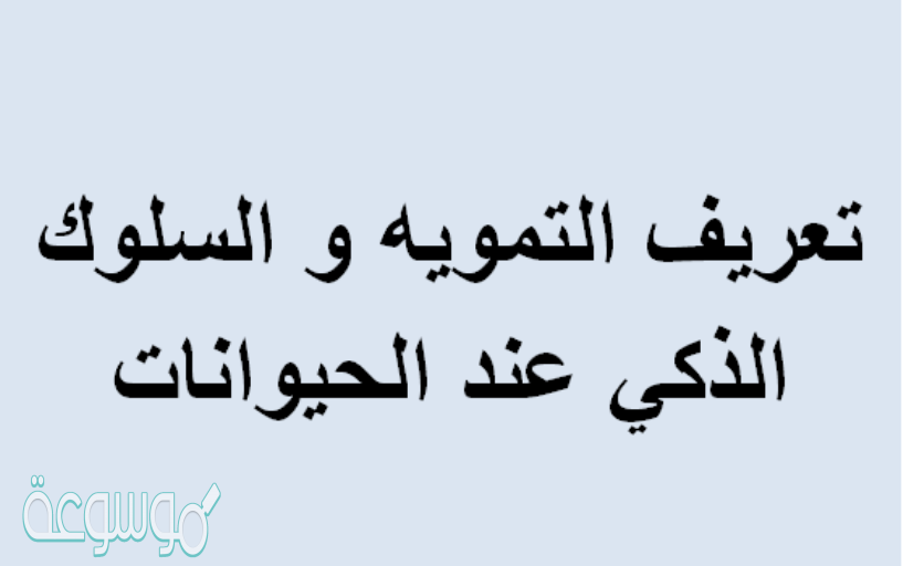تعريف التمويه و السلوك الذكي عند الحيوانات