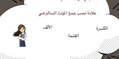 هو مادل على أكثر من اثنتين بزيادة ألف وتاء على مفرده
