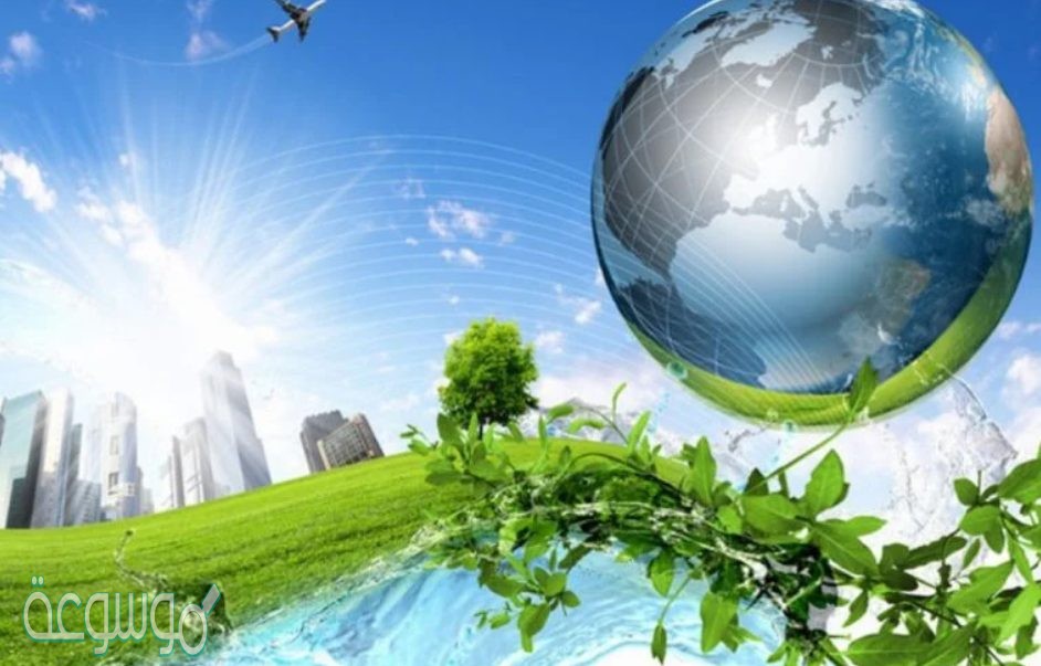 جميع الانظمة البيئية على الارض تكون الغلاف