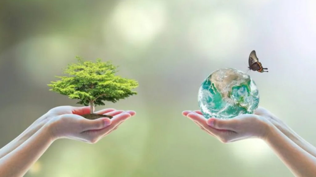 حل كتاب علم البيئة مقررات 1442