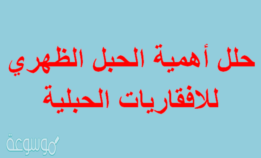 حلل أهمية الحبل الظهري للافقاريات الحبلية؟