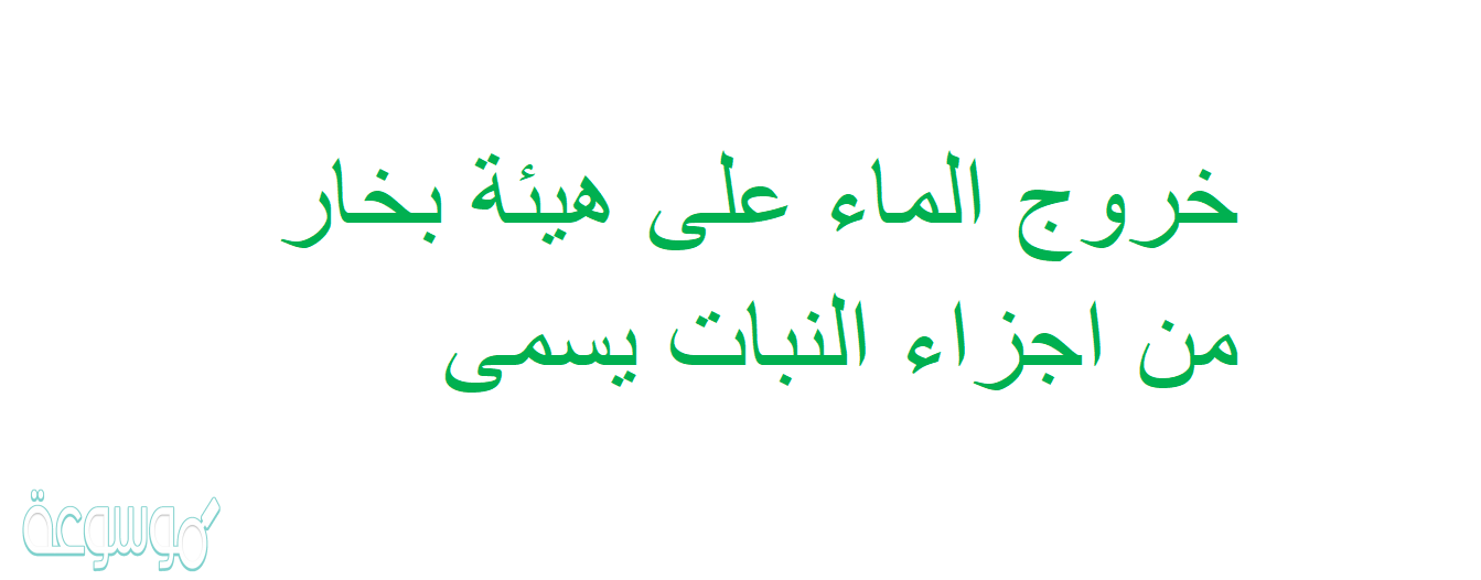 خروج الماء على هيئة بخار من اجزاء النبات يسمى