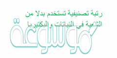 رتبة تصنيفية تستخدم بدلا من الشعبة في النباتات والبكتيريا