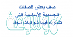 صف بعض الصفات الجسمية الأساسية التي تشترك فيها شوكيات الجلد