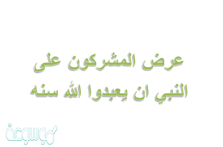 عرض المشركون على النبي ان يعبدوا الله سنه