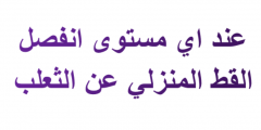 عند اي مستوى انفصل القط المنزلي عن الثعلب