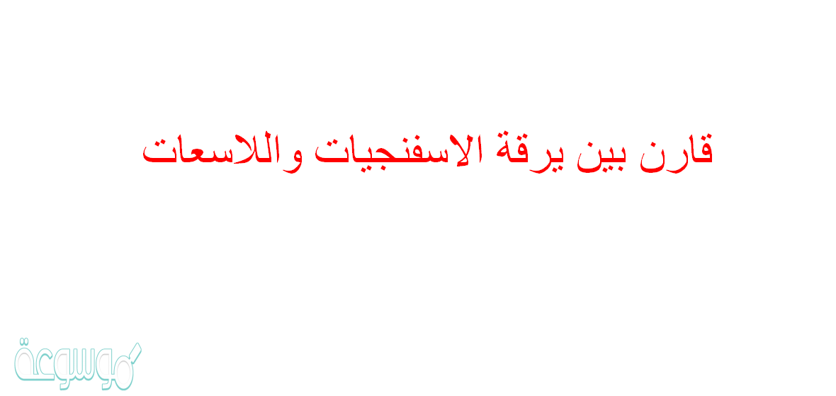 قارن بين يرقة الاسفنجيات واللاسعات