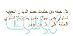 كل حلقة من حلقات جسم الديدان الحلقية تحتوي على جهاز معين بحيث لا تحتوي الحلقة على أكثر من جهاز