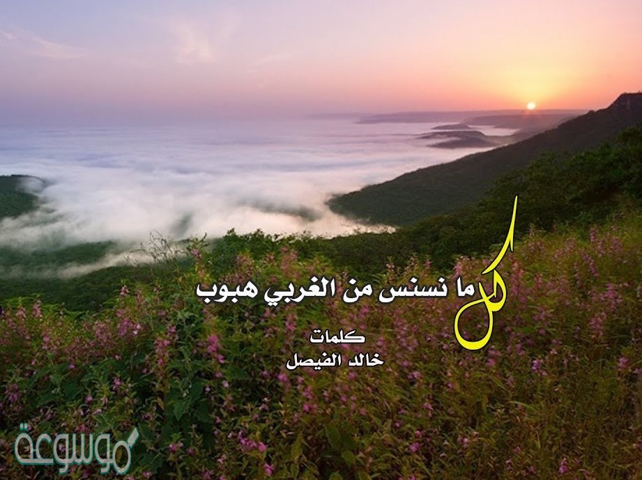 كل ما نسنس كلمات