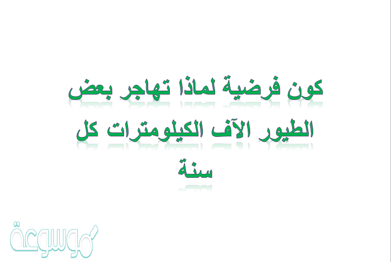 كون فرضية لماذا تهاجر بعض الطيور الآف الكيلومترات كل سنة