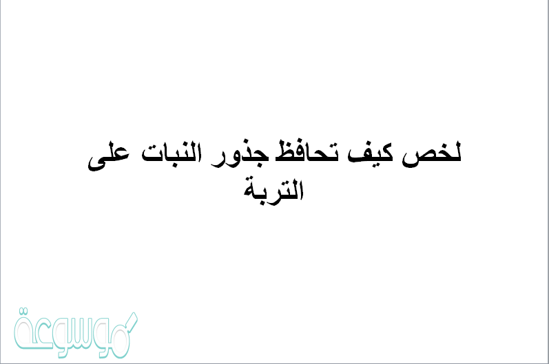 لخص كيف تحافظ جذور النبات على التربة