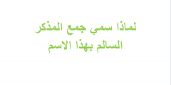 لماذا سمي جمع المذكر السالم بهذا الاسم