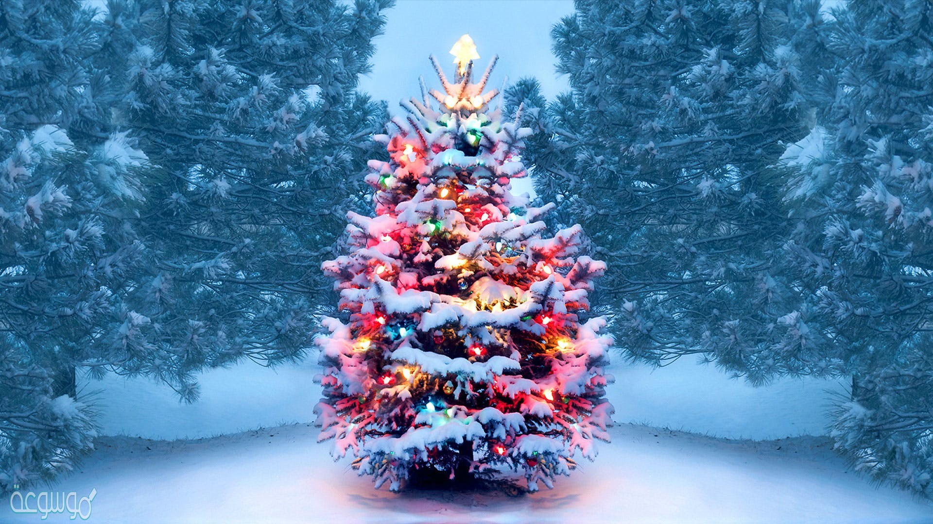 ما معنى كلمة كريسماس