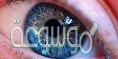 ما نوع العدسة الموجودة في عين الانسان