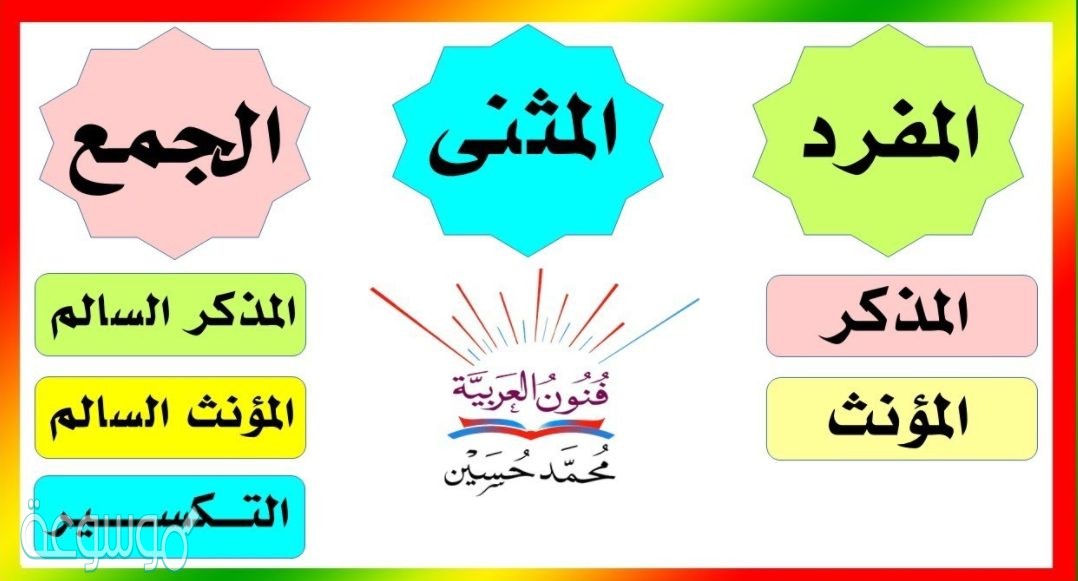 ما هو مفرد كلمة اجابات