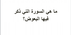 ما هي السورة التي ذكر فيها البعوض؟