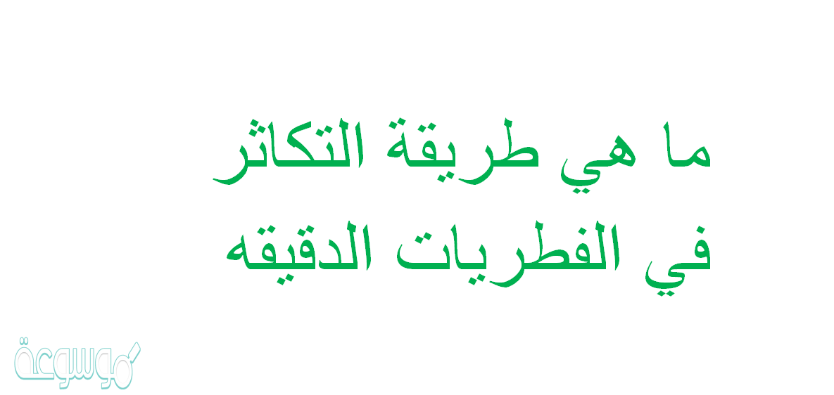 ما هي طريقة التكاثر في الفطريات الدقيقه
