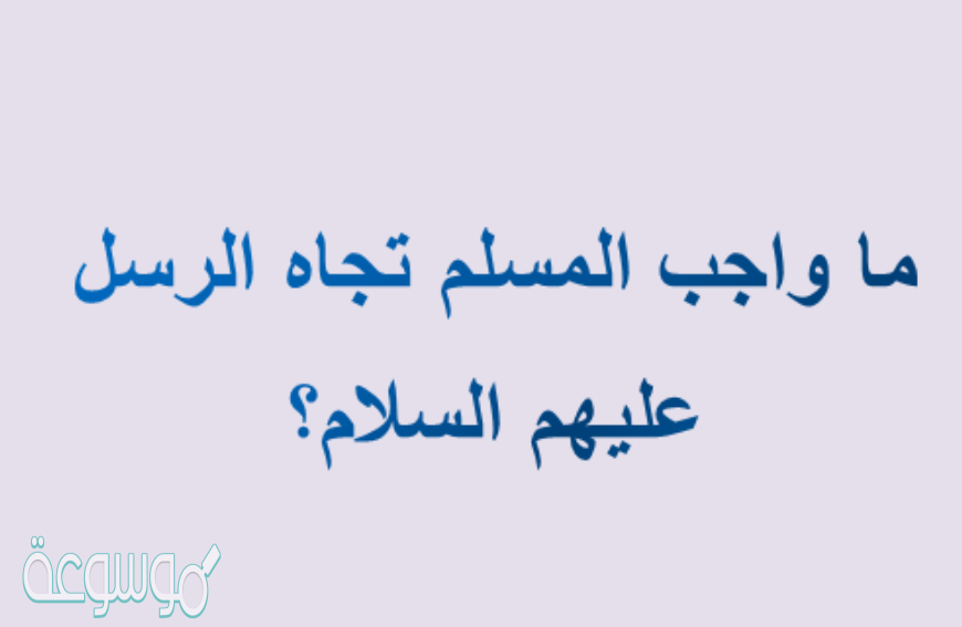 ما واجب المسلم تجاه الرسل عليهم السلام؟