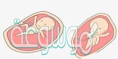 متى تبدأ حركة الجنين الذكر والانثى