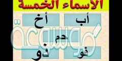من شروط إعراب الأسماء الخمسة بالحروف