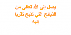 يصل إلى الله تعالى من الذبائح التي تذبح تقربا إليه