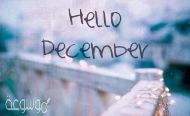 عبارات جميلة عن شهر ديسمبر 2020