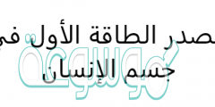 مصدر الطاقة الأول في جسم الإنسان