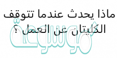 ماذا يحدث عندما تتوقف الكليتان عن العمل ؟