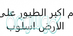 النعام اكبر الطيور على وجه الارض اسلوب