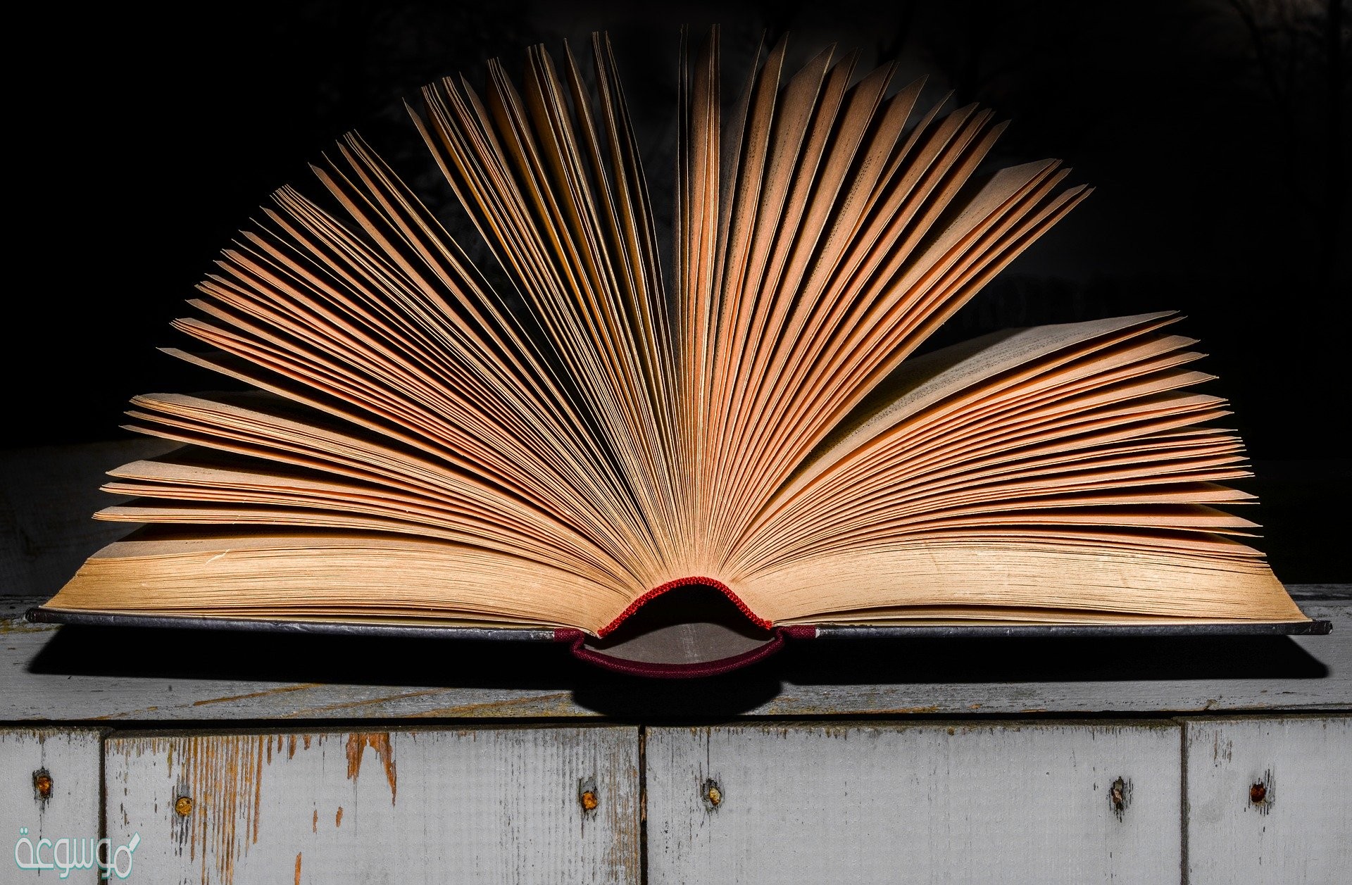 من هو مؤلف كتاب تاريخ الخلفاء