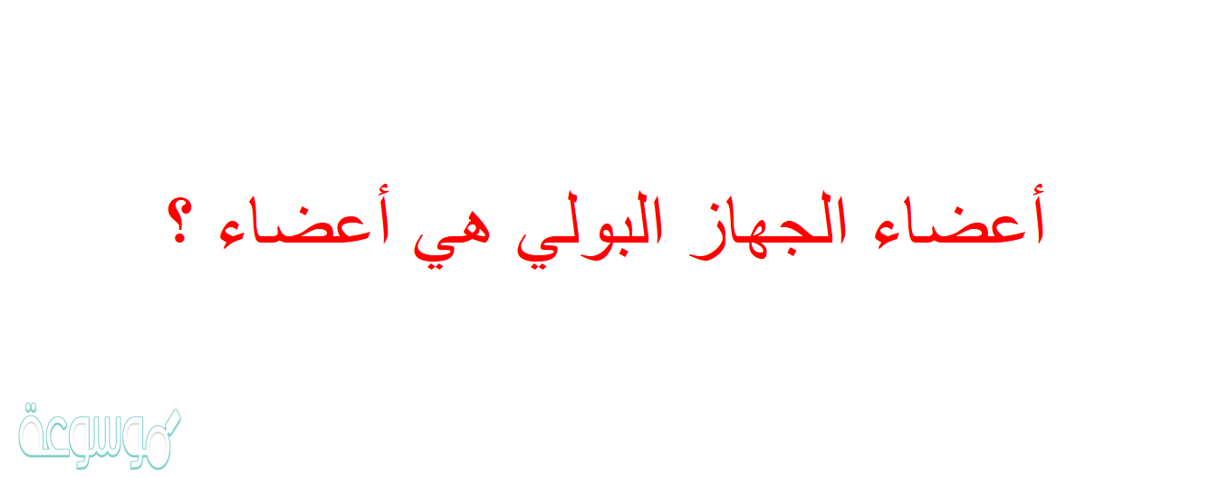 أعضاء الجهاز البولي هي أعضاء ؟