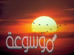 ابحث في تركيب أقرب النجوم إلينا وتعرف مقدار الطاقة التي ينتجها وإمكانات الإفادة منها في الاستعمالات اليومية