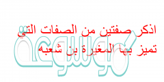 اذكر صفتين من الصفات التي تميز بها المغيرة بن شعبه