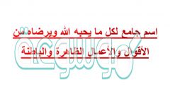 اسم جامع لكل ما يحبه الله ويرضاه من الأقوال والأعمال الظاهرة والباطنة