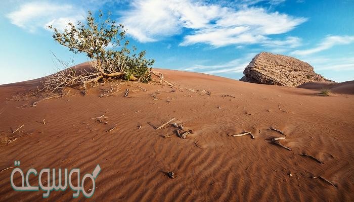 ما يحدث للصخور