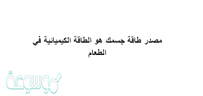 مصدر طاقة جسمك هو الطاقة الكيميائية في الطعام