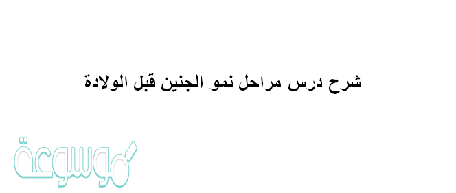 شرح درس مراحل نمو الجنين قبل الولادة