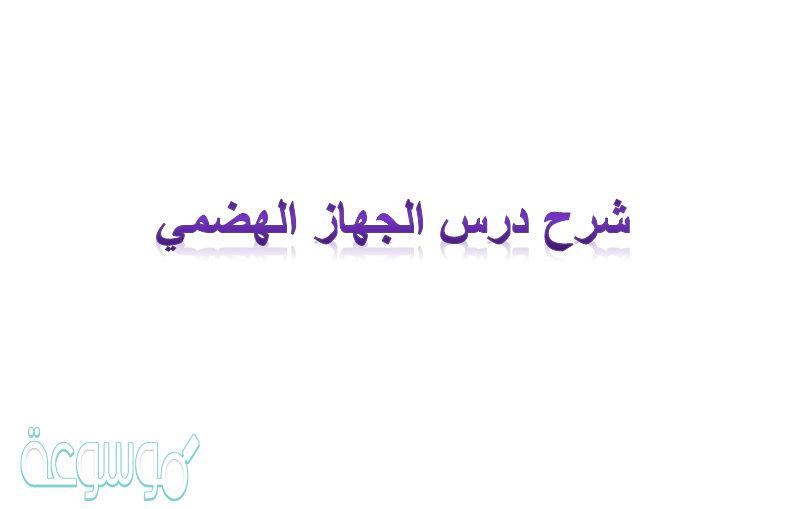 شرح درس الجهاز الهضمي