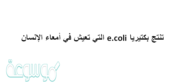 تنتج بكتيريا e.coli التي تعيش في أمعاء الإنسان