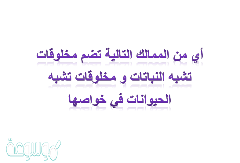 أي من الممالك التالية تضم مخلوقات تشبه النباتات و مخلوقات تشبه الحيوانات في خواصها
